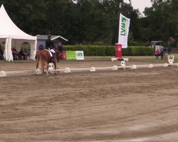 Westfalen-Woche 2015