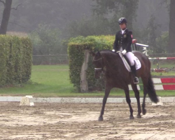 Reitturnier Münster-Handorf 2015