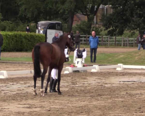 Reitturnier Münster-Handorf 2015