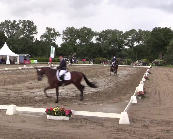 Reitturnier Münster-Handorf 2015