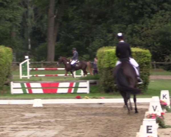 Reitturnier Münster-Handorf 2015