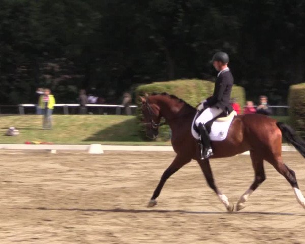 Reitturnier Münster-Handorf 2015