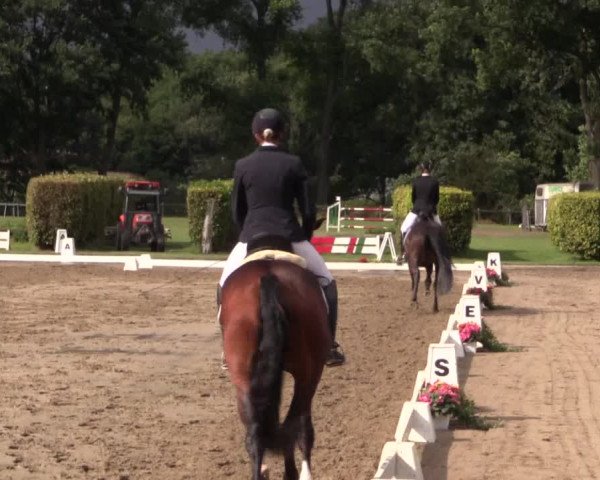 Westfalen-Woche 2015