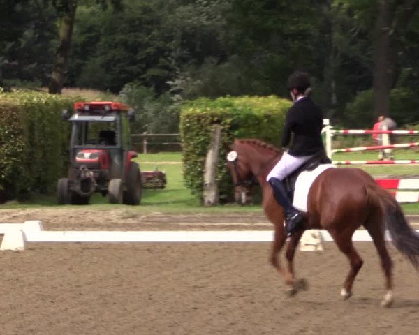 Reitturnier Münster-Handorf 2015