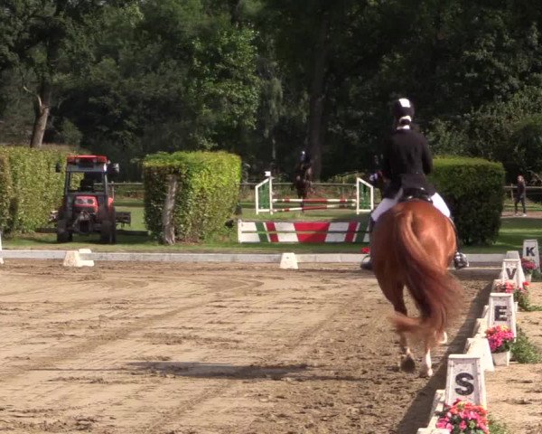 Westfalen-Woche 2015