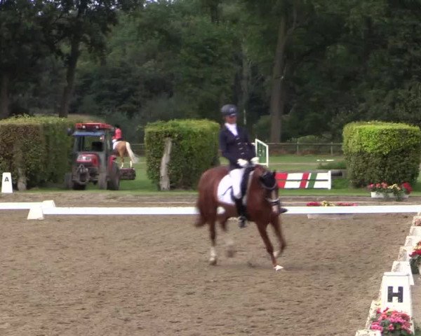 Westfalen-Woche 2015