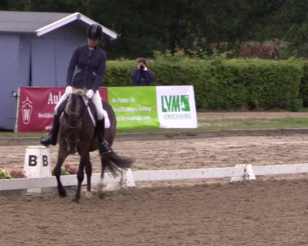 Reitturnier Münster-Handorf 2015