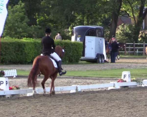 Westfalen-Woche 2015