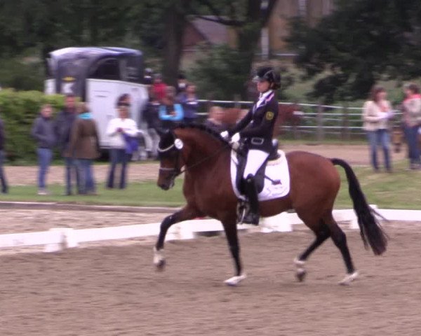 Westfalen-Woche 2015