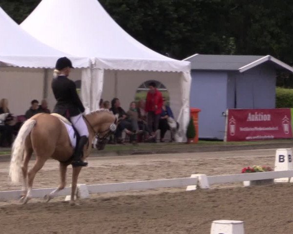 Reitturnier Münster-Handorf 2015
