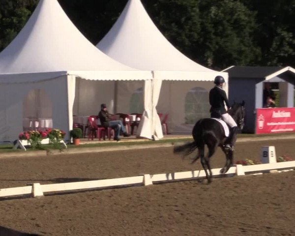 Westfalen-Woche 2015