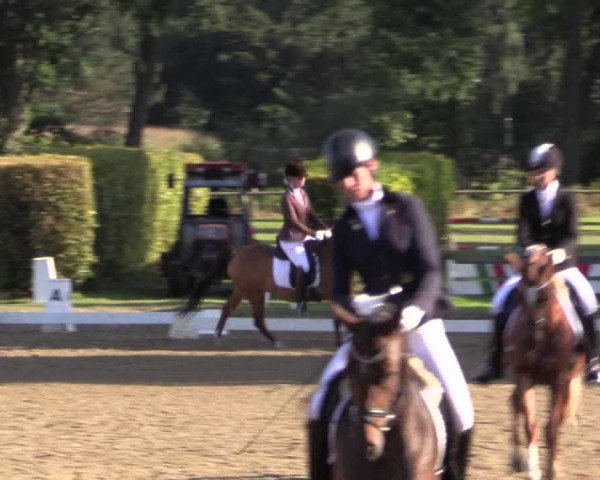 Westfalen-Woche 2015