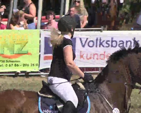 Springturnier Idar-Oberstein 2015