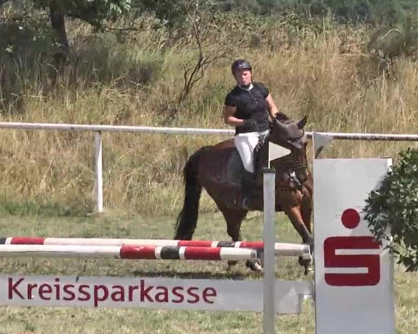 Springturnier Idar-Oberstein 2015