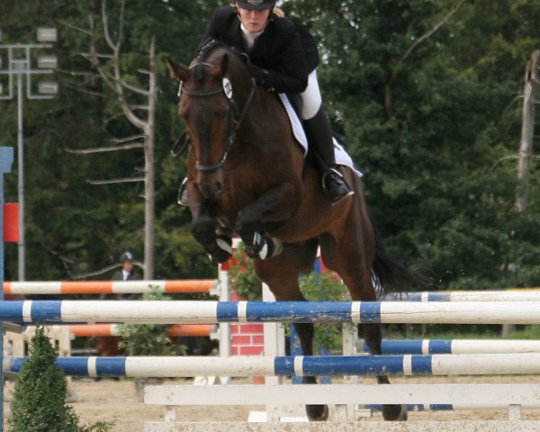 jumper Magic Moments 3 (Holsteiner, 2000, from Mytens xx)