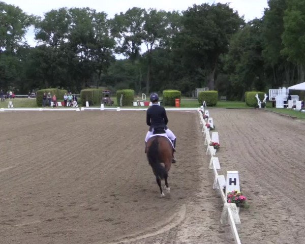 Westfalen-Woche 2015