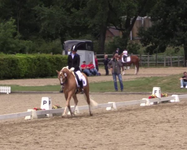 Westfalen-Woche 2015