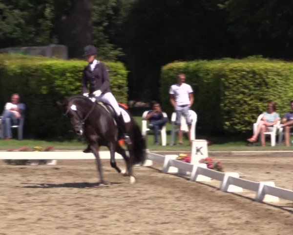Westfalen-Woche 2015