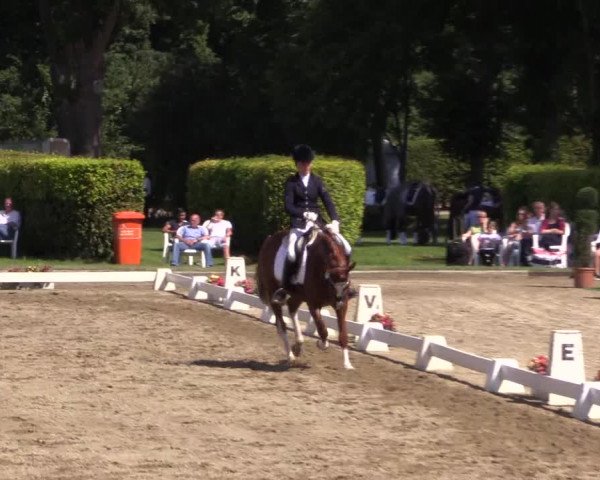 Westfalen-Woche 2015
