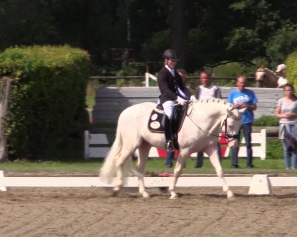 Westfalen-Woche 2015