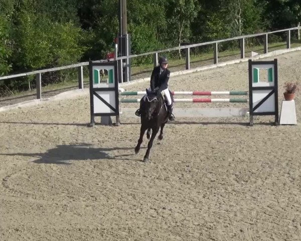 Reitturnier Monschau-Mützenich 2015