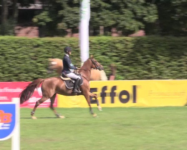 Reitturnier Münster-Handorf 2015