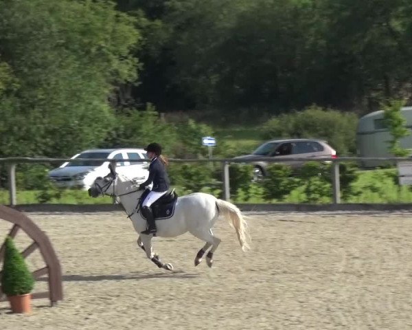 Reitturnier Monschau-Mützenich 2015