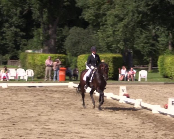 Reitturnier Münster-Handorf 2015