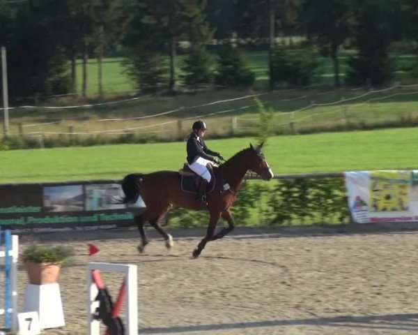 Reitturnier Monschau-Mützenich 2015