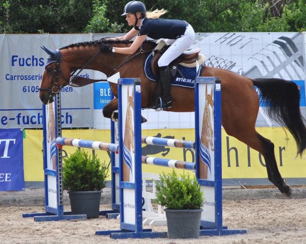 broodmare Chandra A Suerte CH (Swiss Warmblood, 2012, from Coronino) broodmare Chandra A Suerte CH (Swiss Warmblood, 2012, from Coronino)