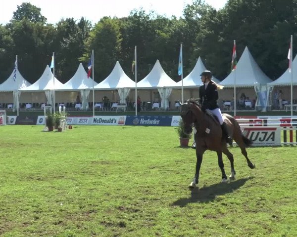 Sparkassen German Friendships 2015