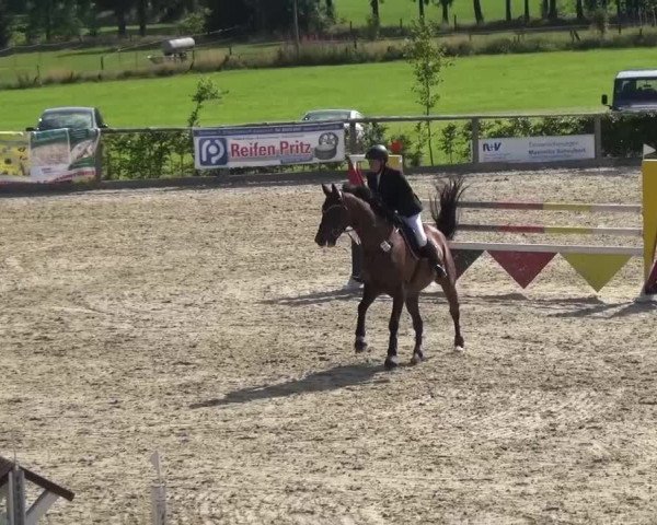 Reitturnier Monschau-Mützenich 2015