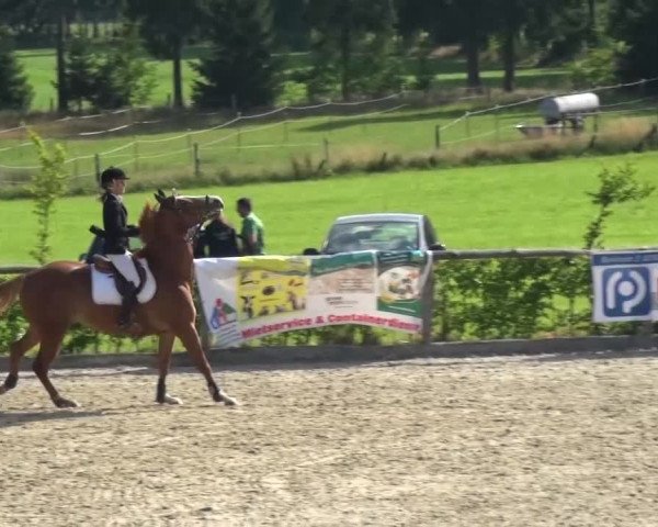 Reitturnier Monschau-Mützenich 2015