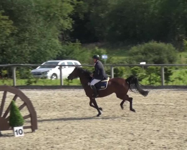 Reitturnier Monschau-Mützenich 2015
