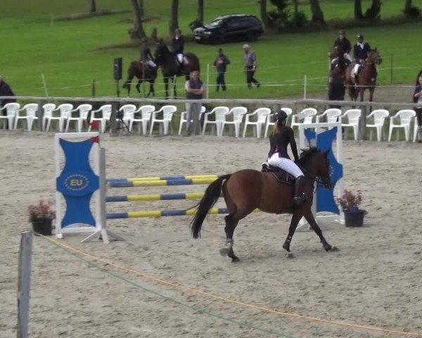 Reitturnier Monschau-Mützenich 2015