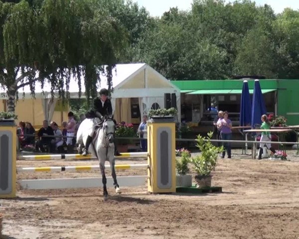 Reitturnier Neuss-Uedesheim 2015