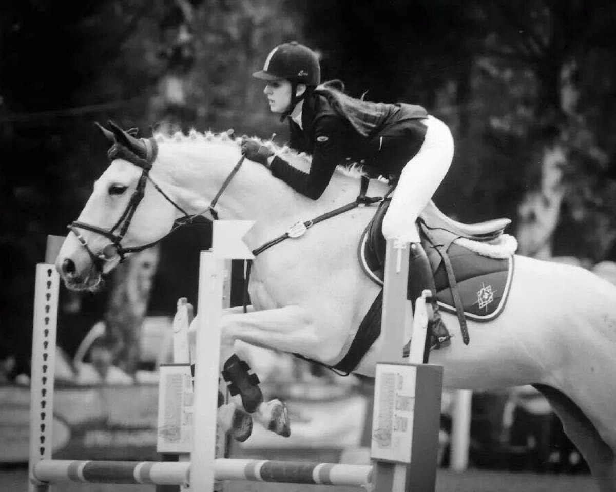Jumper Anabelle 14 (Hanoverian, 1993, from Achenbach)