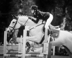 jumper Anabelle 14 (Hanoverian, 1993, from Achenbach)