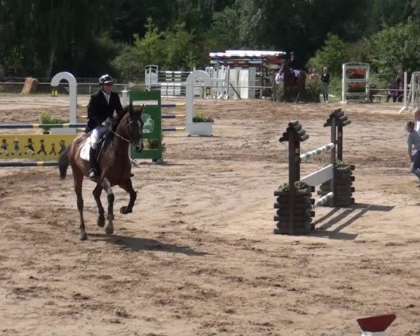 Reitturnier Neuss-Uedesheim 2015