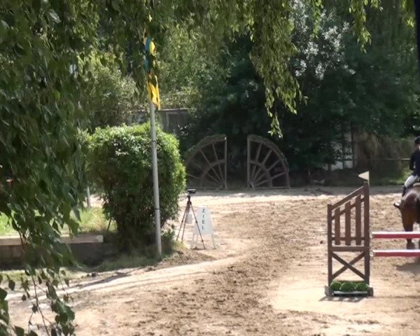 Reitturnier Neuss-Uedesheim 2015