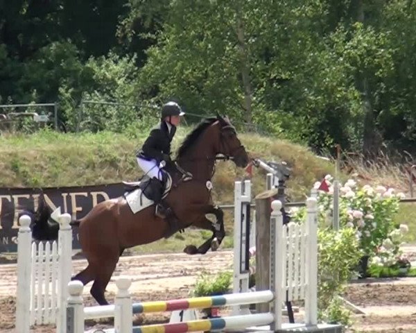 Reitturnier Neuss-Uedesheim 2015