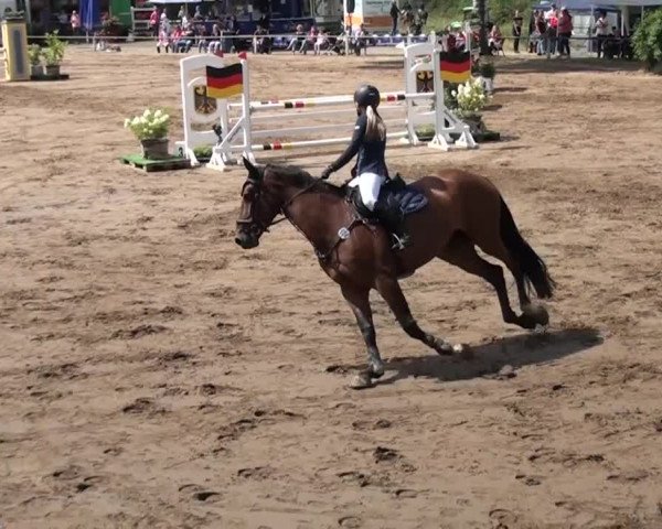 Reitturnier Neuss-Uedesheim 2015