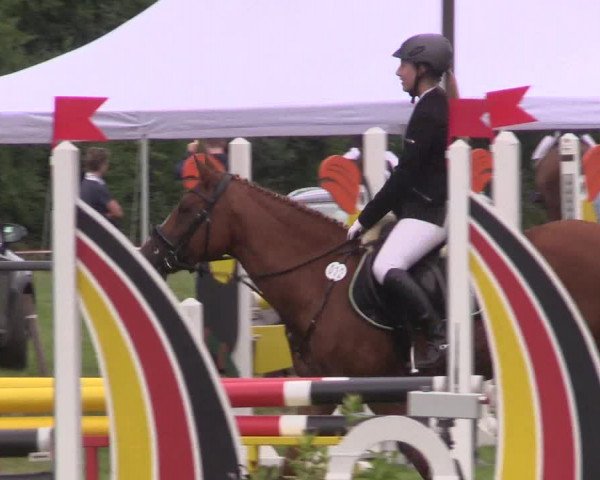 Reitturnier Petershagen-Eldagsen 2015