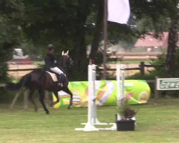 Reitturnier Petershagen-Eldagsen 2015