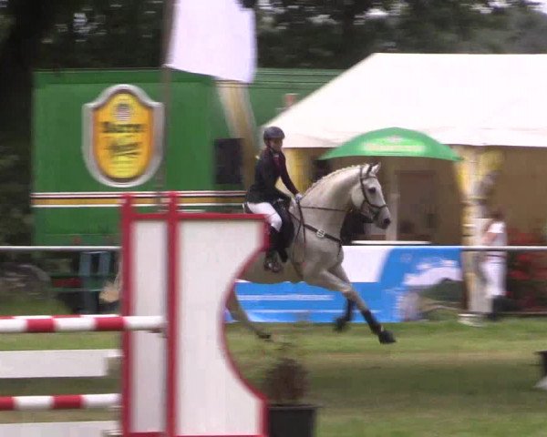 Reitturnier Petershagen-Eldagsen 2015