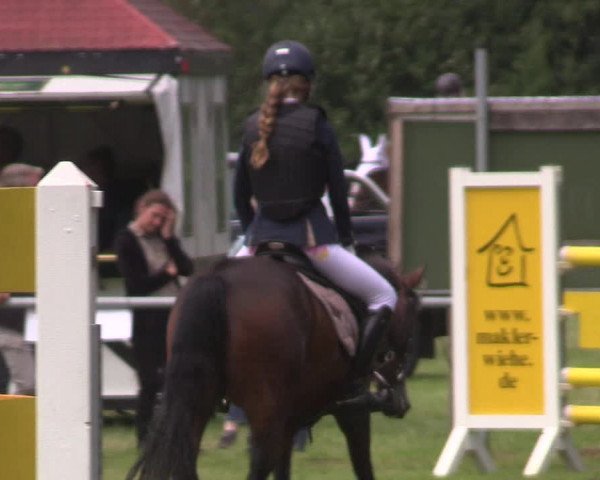 Reitturnier Petershagen-Eldagsen 2015