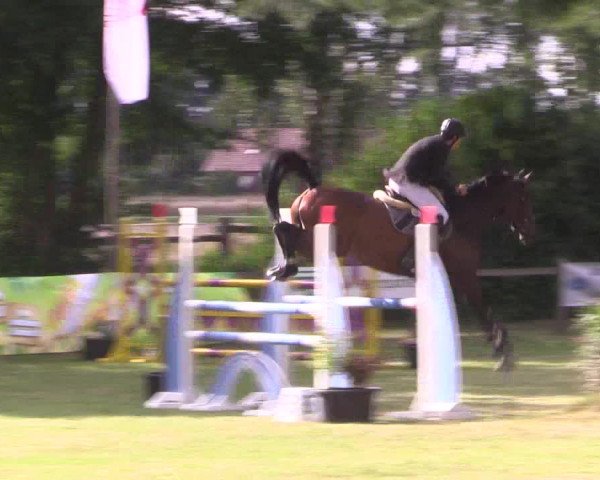 Reitturnier Petershagen-Eldagsen 2015