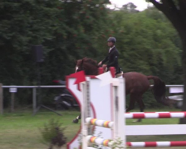 Reitturnier Petershagen-Eldagsen 2015