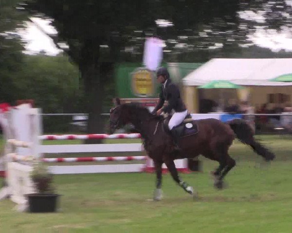 Reitturnier Petershagen-Eldagsen 2015