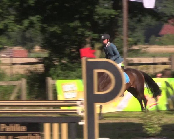 Reitturnier Petershagen-Eldagsen 2015